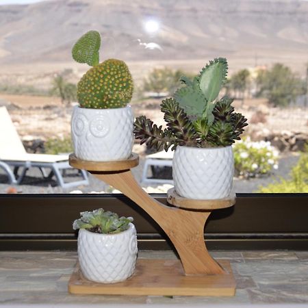 Casa Vista Oasis En Fuerteventura Villa La Guirra Bagian luar foto