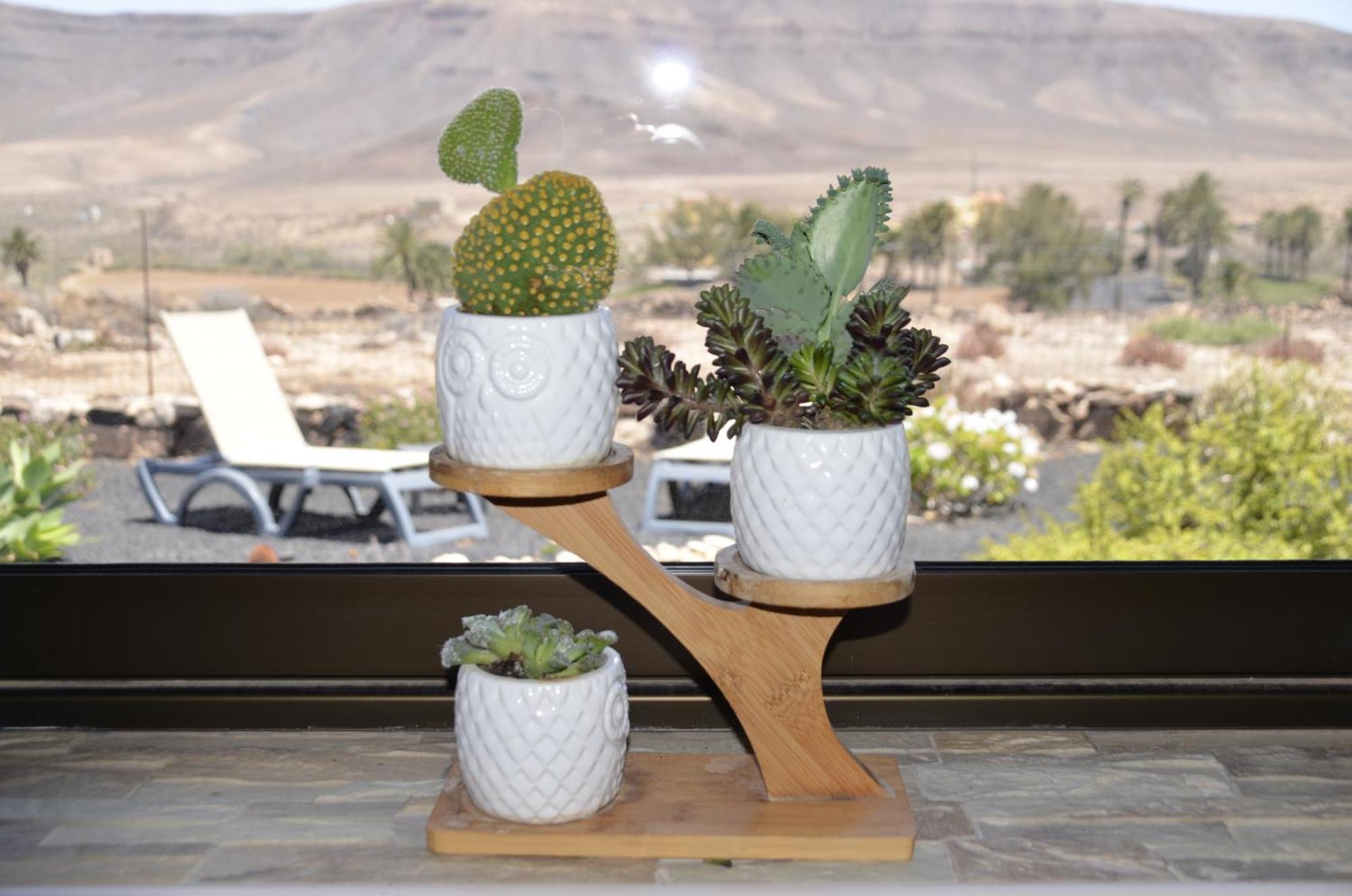 Casa Vista Oasis En Fuerteventura Villa La Guirra Bagian luar foto
